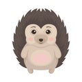 Lovely hedgehog prickly animal cartoon character standing on two legs vector Illustration on a white background