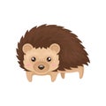 Lovely hedgehog prickly animal cartoon character vector Illustration on a white background