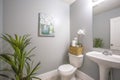 Lovely home bathroom interior decorated with flowers plants and painting