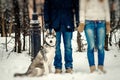 Lovely husky is sitting near the lovers holding hands. View of the legs. Snowfall. Close-up.