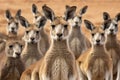 Lovely kangaroo background. Generative AI