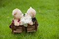 Lovely kiss teddy bear sit on wooden chair, Concept wedding of l