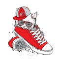 Lovely kitten sitting in sneakers. Vector illustration.