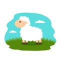 Lovely lamb in the meadow. flat vector illustration