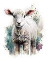 Lovely Lamb Watercolor Style
