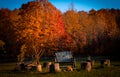 Landscape of a firepit with log seating during the beautiful autumn colors