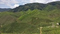 Lovely landscape view of lush green hills with luxuriant vegetation