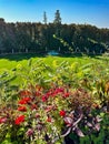 Gorgeous fall flowers by green grassy lawn with water fountain in Michigan