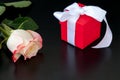 Lovely light yellow-red rose gift in red box with white ribbon on black background Royalty Free Stock Photo