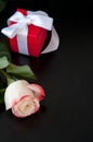Lovely light yellow-red rose gift in red box with white ribbon on black background Royalty Free Stock Photo