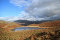 Lovely Lily Tarn.Loughrigg Fell, Cumbria, Uk. Royalty Free Stock Photo