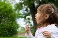 Lovely little blond little girl blowing a dandelion Royalty Free Stock Photo