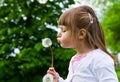 Lovely little blond little girl blowing a dandelion Royalty Free Stock Photo