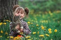 Lovely little five-year girl and cat in green grass. Royalty Free Stock Photo