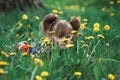 Lovely little five-year girl hid in green grass. Royalty Free Stock Photo