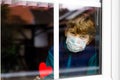 Lovely little school kid boy by a window wearing medical mask and holding wooden heart during pandemic coronavirus Royalty Free Stock Photo