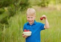 Lovely little toddler kid boy eating strawberries on warm sunny day. food for children. Gardening and farming concept Royalty Free Stock Photo