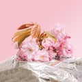 Lovely minimal spring concept. Arrangement made of cherry blossom spring flowers against a silver metallic pink background Royalty Free Stock Photo