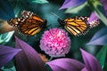 Lovely monarch butterflies on pink flowers in a fairy garden. Summer spring background.