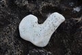 Lovely Natural Shaped White Heart Stone on Lava Rock Royalty Free Stock Photo