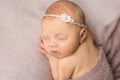 Lovely newborn girl with flower on her headband Royalty Free Stock Photo