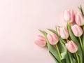 Lovely pastel pink tulips bunch. bouquet of tulips for banners