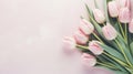 Lovely pastel pink tulips bunch, floral border at light stone background, top view. Layout for springtime holidays. Royalty Free Stock Photo