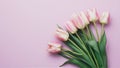 Lovely pastel pink tulips bunch on light background, top view Royalty Free Stock Photo