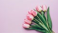 Lovely pastel pink tulips bunch on light background, top view Royalty Free Stock Photo