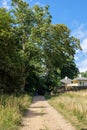 Lovely pathway found in Hampstead Heath. Gorgeous blue sky above