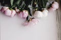 Lovely peony pink flowers on rustic white background, space for