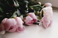 Lovely peony pink flowers on rustic white background, unusual vi