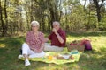 Lovely picnic Royalty Free Stock Photo