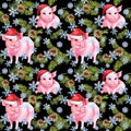 Cute pigs in red holiday hats, christmas tree branches. Seamless pattern for New Year. Watercolor Royalty Free Stock Photo