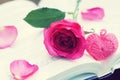 Lovely pink color rose on book roll into heart shape, soft color tone, sweet valentine presentation concept