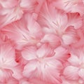 Lovely pink pattern with gladiolus heads. Original texture. Royalty Free Stock Photo