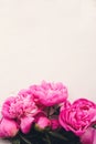 Lovely pink peonies on rustic white wooden background top view, Royalty Free Stock Photo