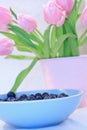 Lovely pink tulips and blueberries Royalty Free Stock Photo