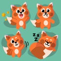 Lovely Playful Red Panda Racoon Mascot Illustrations