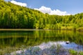 Lovely pond in the forest on a hillside Royalty Free Stock Photo