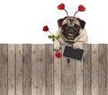 Lovely pug dog with hearts diadem, blackboard and rose, hanging on wooden fence Royalty Free Stock Photo