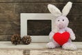 Lovely rabbit doll holding red heart shape
