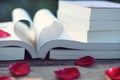 Lovely red color rose petals on book roll into heart shape with blur green garden background, soft color tone, sweet valentine