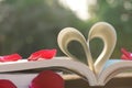 Lovely red color rose petals on book roll into heart shape with blur green garden background, soft color tone, sweet valentine