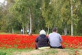 Lovely red flowers bloom on the meadow. Senior couple of man and a woman sit in nature and enjoy the beautiful idyllic scene