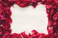 Lovely red peonies petals frame on rustic white wooden background, top view, space for text. floral greeting card mock-up, flat Royalty Free Stock Photo
