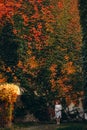 Lovely regnant woman in the autumn park Royalty Free Stock Photo