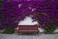 Lovely and relaxing red bench between purple flowers Royalty Free Stock Photo