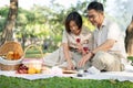 Lovely retired Asian couple are sipping wine and reading a book while enjoying a picnic together Royalty Free Stock Photo