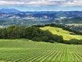 A view over the hills and vineyards of Sonoma County, California